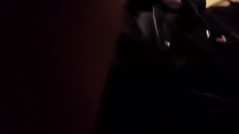 bkt15 online show from November 2025 10:15:02 PM