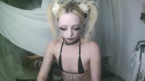 vampire fang  online show from January 2026 12:35:01 AM