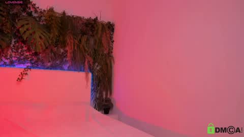 Jenny online show from December 2024 02:55:01 PM