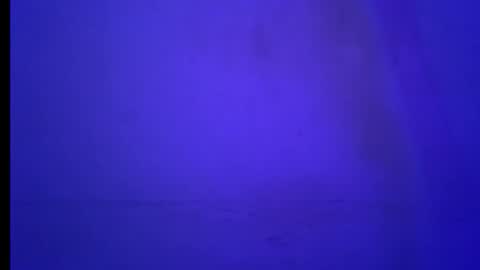 BLACK online show from January 2026 05:55:01 AM