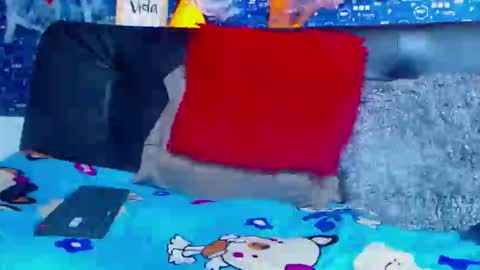 duglas online show from November 2025 05:13:01 PM