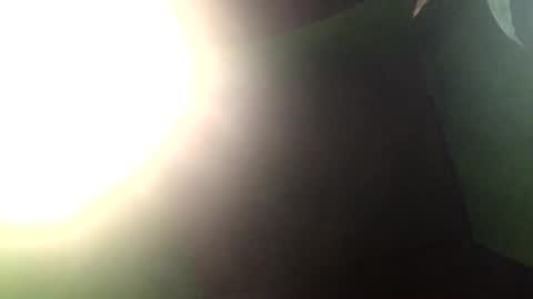 Snapshot of blackasiancockts chatting on December 2024 01:50:02 PM Crystal online show from December 2024 01:50:02 PM