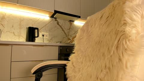 Karina online show from January 2025 07:36:02 AM