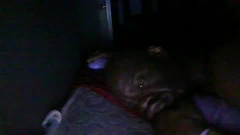 blackteddybear online show from February 2026 03:24:02 AM