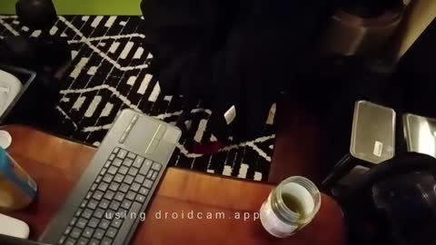 Blackjag00 online show from February 2025 10:12:02 AM