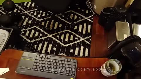 Blackjag00 online show from February 2025 07:06:01 AM