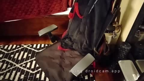 Blackjag00 online show from March 2025 09:22:01 AM