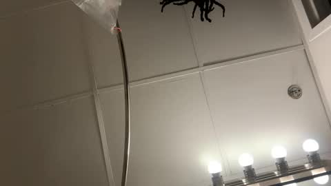 Snapshot of blastt4meee chatting on January 2026 07:27:02 PM blastt4meee online show from January 2026 07:27:02 PM