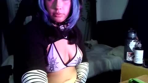 blue katt online show from September 2025 11:16:01 PM