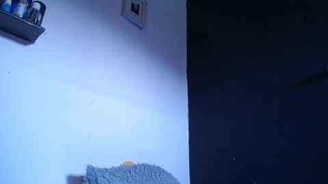 Snapshot of blue_morningstar chatting on September 2025 12:40:01 PM bunbury online show from September 2025 12:40:01 PM