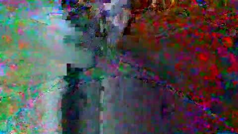 bluegum00 online show from June 2026 02:01:01 AM