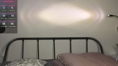 Erica online show from December 2024 11:18:01 PM