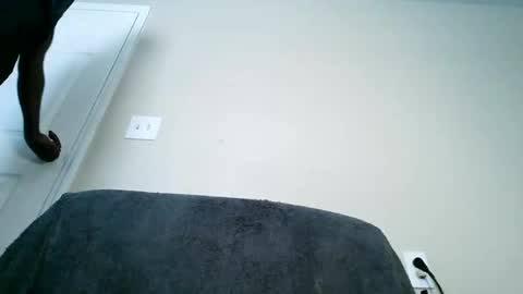 Snapshot of bobbiebone chatting on March 2025 06:19:02 PM bobbiebone and company online show from March 2025 06:19:02 PM