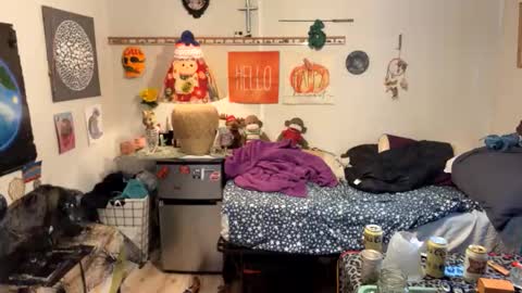 bobbyq2969 online show from November 2025 06:51:01 PM