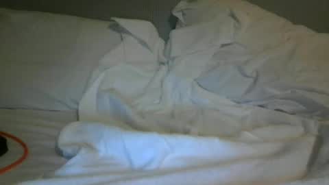 bobsmith2022985 online show from June 2026 12:26:02 AM