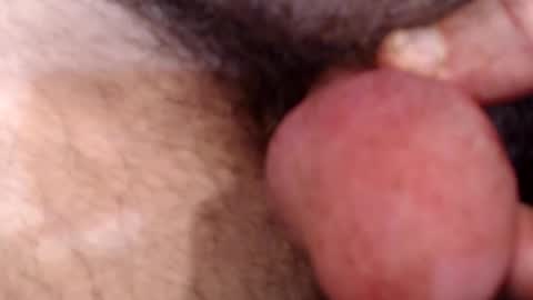 bobswan online show from September 2025 05:36:02 PM