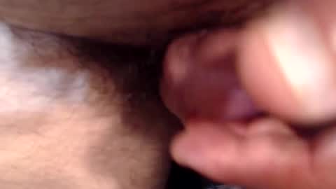 bobswan online show from November 2025 09:47:01 PM