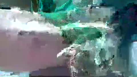 bogey58 online show from February 2025 04:11:02 PM