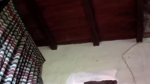 bokeronconganas online show from June 2026 02:33:01 PM