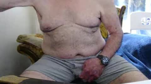 bolbil1 online show from April 2026 03:42:02 PM