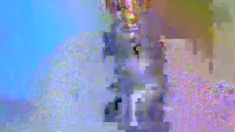 Snapshot of boobbyb chatting on October 2025 08:22:01 AM boobbyb online show from October 2025 08:22:01 AM