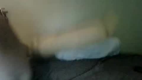 Snapshot of booboobumbum1 chatting on June 2026 07:14:02 PM booboobumbum1 online show from June 2026 07:14:02 PM