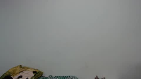 Luciana independent model online show from December 2024 08:00:02 PM