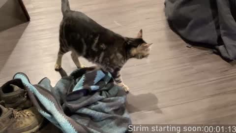 Booker Baxton online show from December 2024 04:08:02 AM