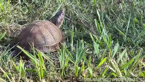 Booker Baxton online show from January 2025 04:06:01 AM