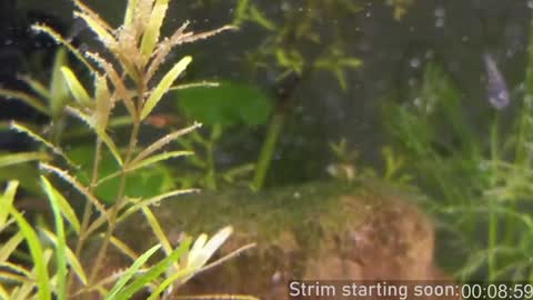 Booker Baxton online show from January 2025 04:01:01 AM