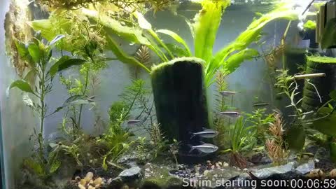 Booker Baxton online show from February 2025 04:01:01 AM