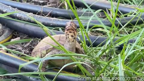 Booker Baxton online show from October 2025 02:57:02 AM