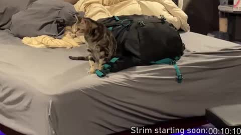 Booker Baxton online show from February 2026 04:00:01 AM