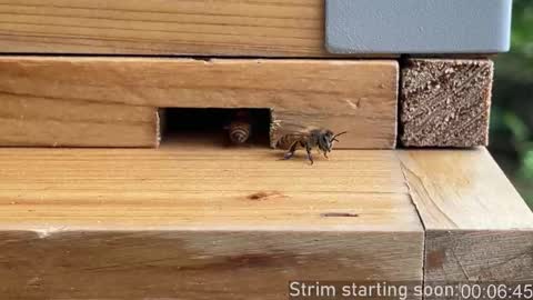 Booker Baxton online show from March 2026 03:02:01 AM