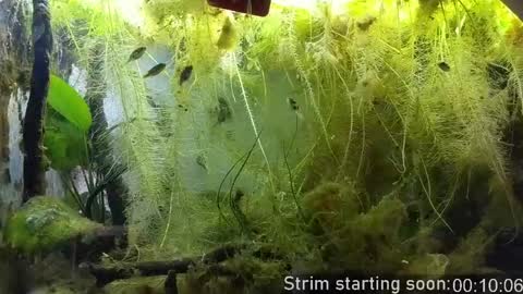 Booker Baxton online show from March 2026 02:57:02 AM