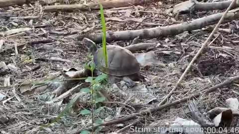 Booker Baxton online show from April 2026 03:06:01 AM