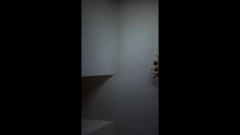 boris96213 online show from June 2026 01:33:01 AM