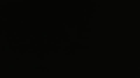 Snapshot of bossram160 chatting on February 2025 10:08:02 AM bossram160 online show from February 2025 10:08:02 AM