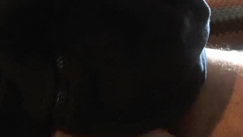 Snapshot of bossram160 chatting on March 2025 09:36:02 AM bossram160 online show from March 2025 09:36:02 AM