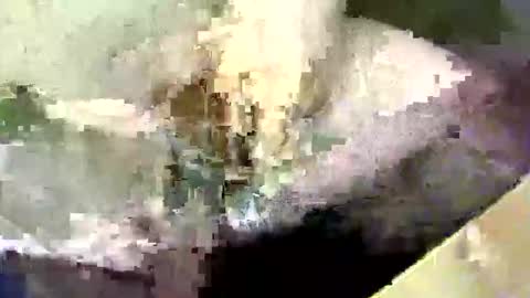 Snapshot of bossram160 chatting on September 2025 08:21:01 PM bossram160 online show from September 2025 08:21:01 PM