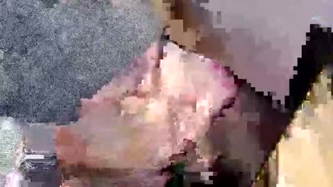 Snapshot of bossram160 chatting on September 2025 07:52:01 PM bossram160 online show from September 2025 07:52:01 PM