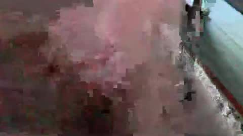 Snapshot of bossram160 chatting on October 2025 01:28:01 PM bossram160 online show from October 2025 01:28:01 PM