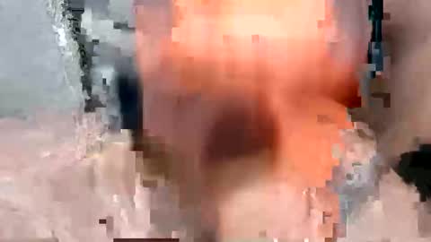 bossram160 online show from November 2025 07:29:02 AM