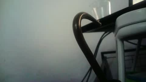 Snapshot of bottommlad chatting on January 2025 08:01:01 PM BottoMMlad online show from January 2025 08:01:01 PM