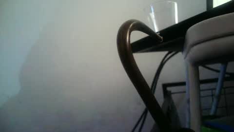 Snapshot of bottommlad chatting on January 2025 12:38:01 AM BottoMMlad online show from January 2025 12:38:01 AM