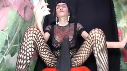 Snapshot of boucinghugehardcock chatting on October 2025 06:31:01 AM A M A N D A  MONSTERCOCK online show from October 2025 06:31:01 AM
