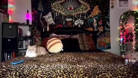 Snapshot of boysdroollx chatting on December 2024 03:26:02 AM Puddin online show from December 2024 03:26:02 AM