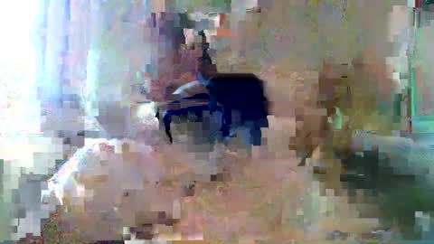 Snapshot of bpbww chatting on September 2025 04:40:02 PM bpbww online show from September 2025 04:40:02 PM