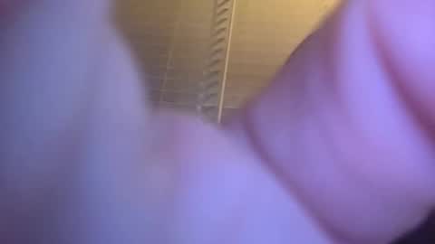 Bradley online show from November 2025 04:17:02 AM