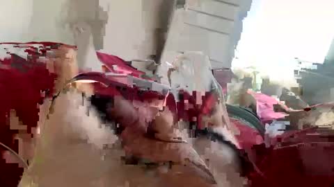 Snapshot of brad2518181 chatting on February 2025 06:26:01 PM brad2518181 online show from February 2025 06:26:01 PM